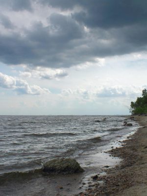 Plaża, Gdynia Orłowo.