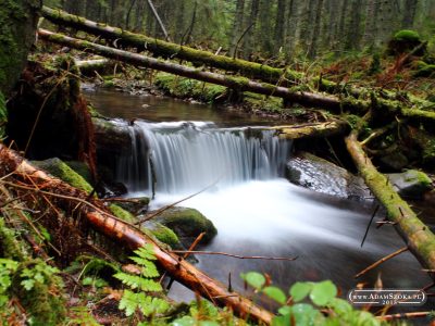 Tatry Zachodnie. Dolina Kościeliska, Dolina Chochołowska, Jaskinia Mylna.