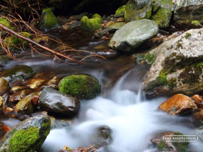 Tatry Zachodnie. Dolina Kościeliska, Dolina Chochołowska, Jaskinia Mylna.