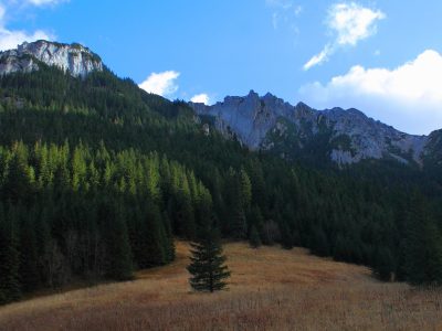 Tatry Zachodnie. Dolina Kościeliska, Dolina Chochołowska, Jaskinia Mylna.