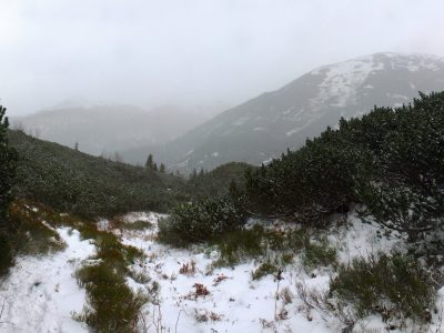 Tatry Zachodnie. Dolina Kościeliska, Dolina Chochołowska, Jaskinia Mylna.