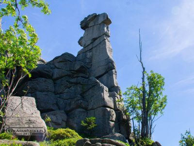 Karkonosze i Góry Izerskie - lato 2017