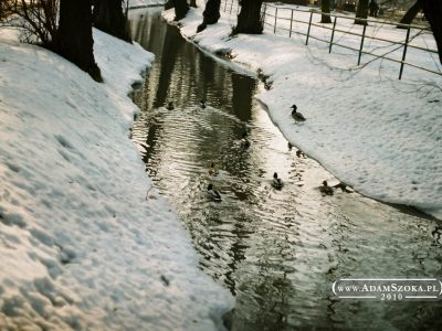 Gdańsk. Fotografia analogowa.