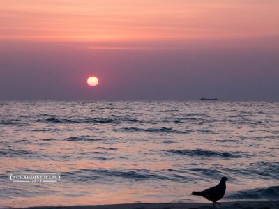 Plaża Gdańsk i Sopot o świcie. Zatoka Gdańska. Plaża Gdańsk i Sopot o świcie. Zatoka Gdańska.