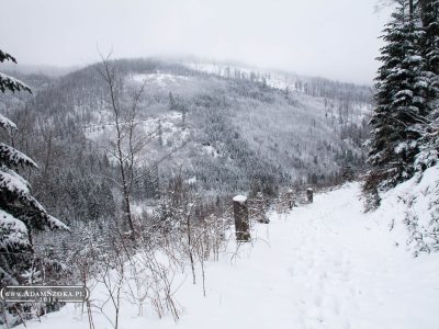 Beskid Mały, sylwester z AKT GDAKK. Polskie góry, Beskidy.