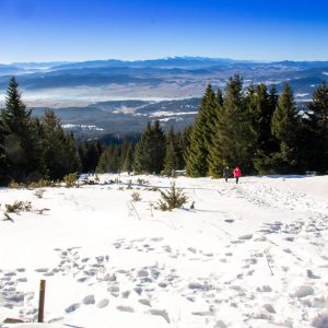 Słowackie Beskidy Portrety i Pejzaże Sylwestrowy wyjazd z AKT GDAKK Słowackie Beskidy Portrety i Pejzaże Sylwestrowy wyjazd z AKT GDAKK