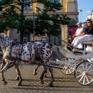 Kraków. Wakacyjna podróż do Krakowa. Autorem zdjęć jest Adam Szoka. Kraków. Wakacyjna podróż do Krakowa.